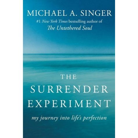 The Surrender Experiment: My Journey into Life's Perfection EnglishBookHouse