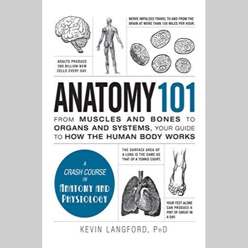 Anatomy 101 EnglishBookHouse
