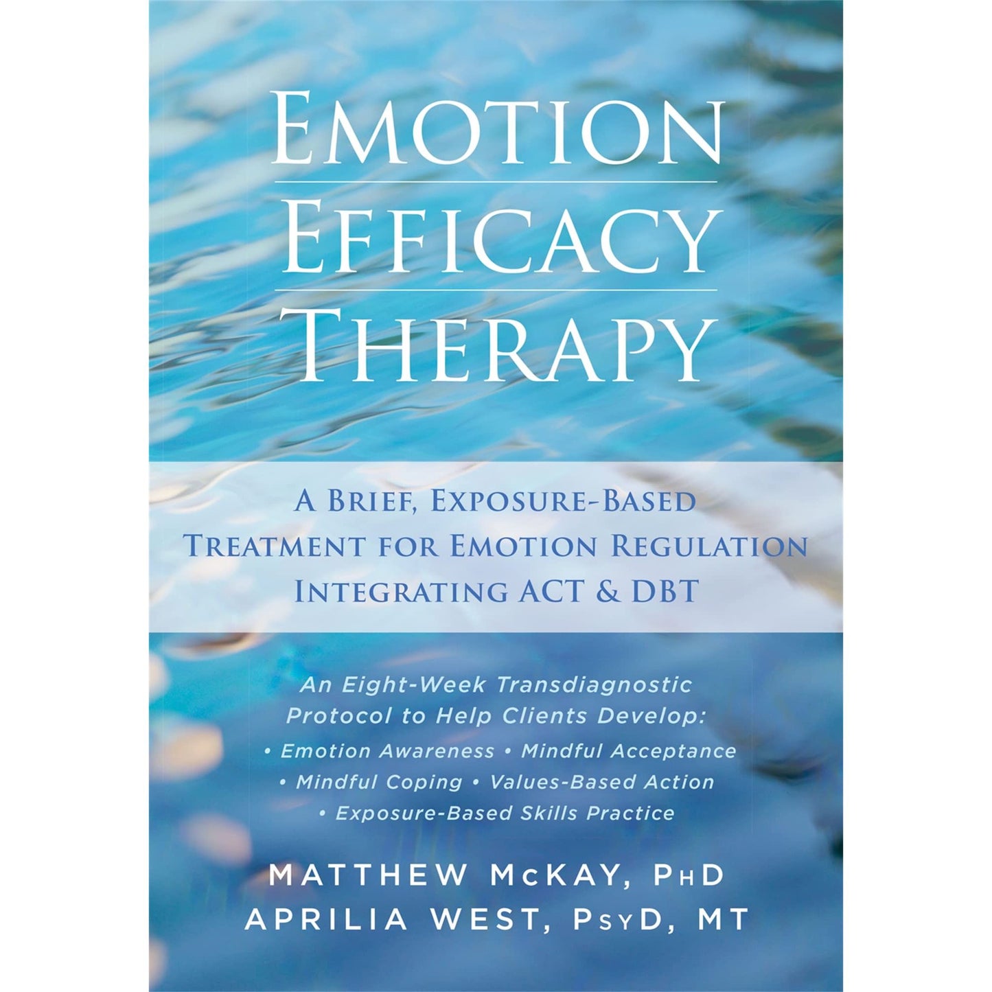 Emotion Efficacy Therapy EnglishBookHouse