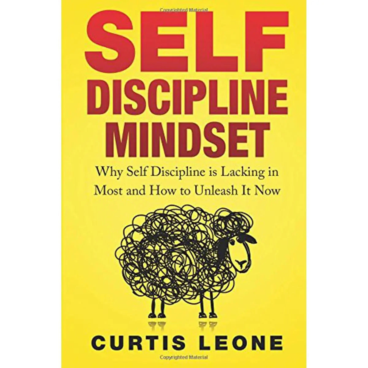 Self Discipline Mindset: EnglishBookHouse