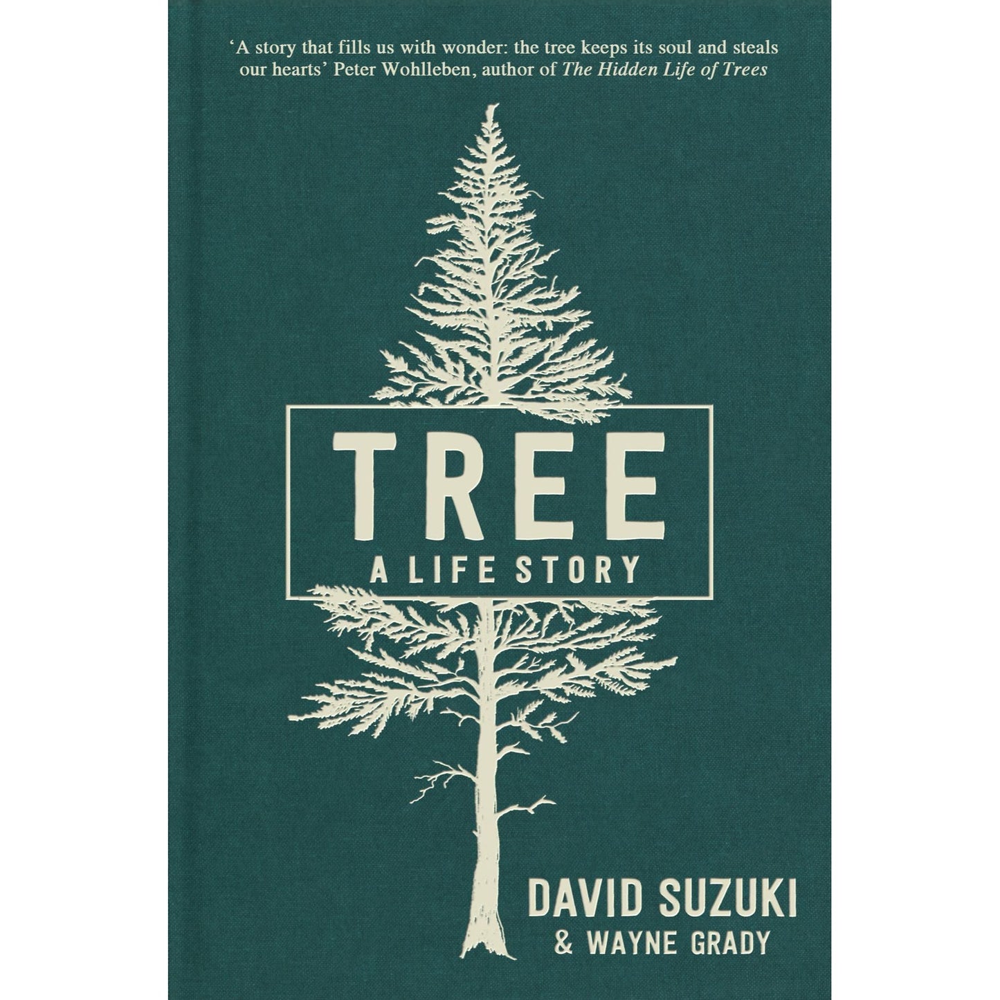 Tree A life story EnglishBookHouse