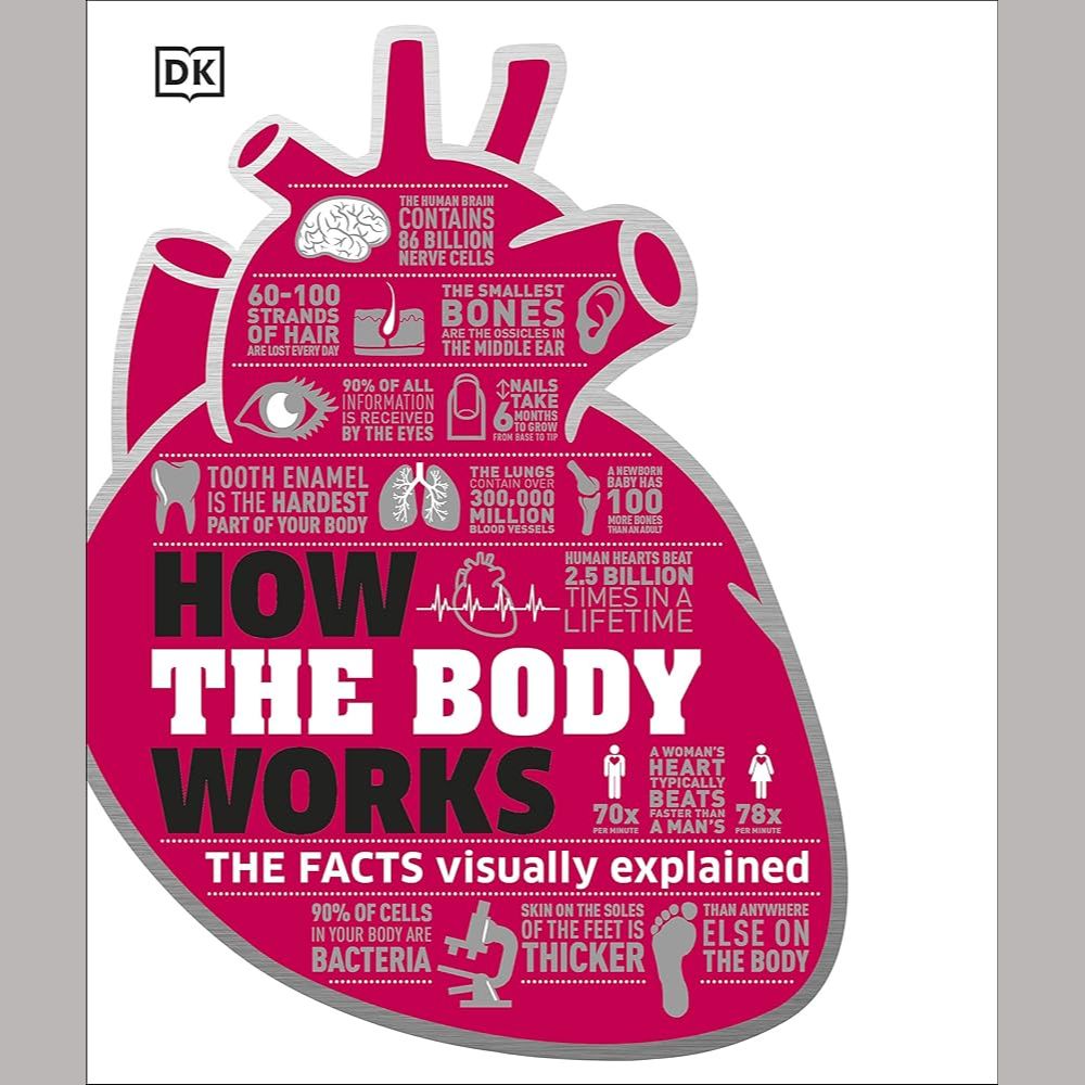 How the Body Works: The Facts Simply Explained EnglishBookHouse