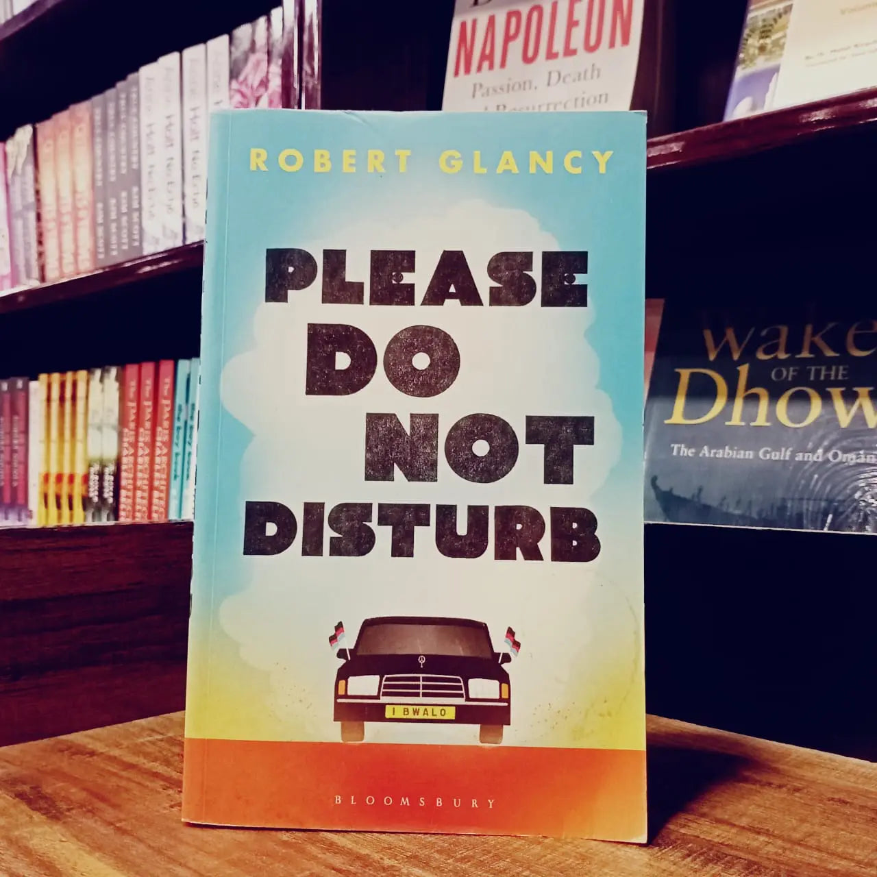 Please Do Not Disturb English Book House