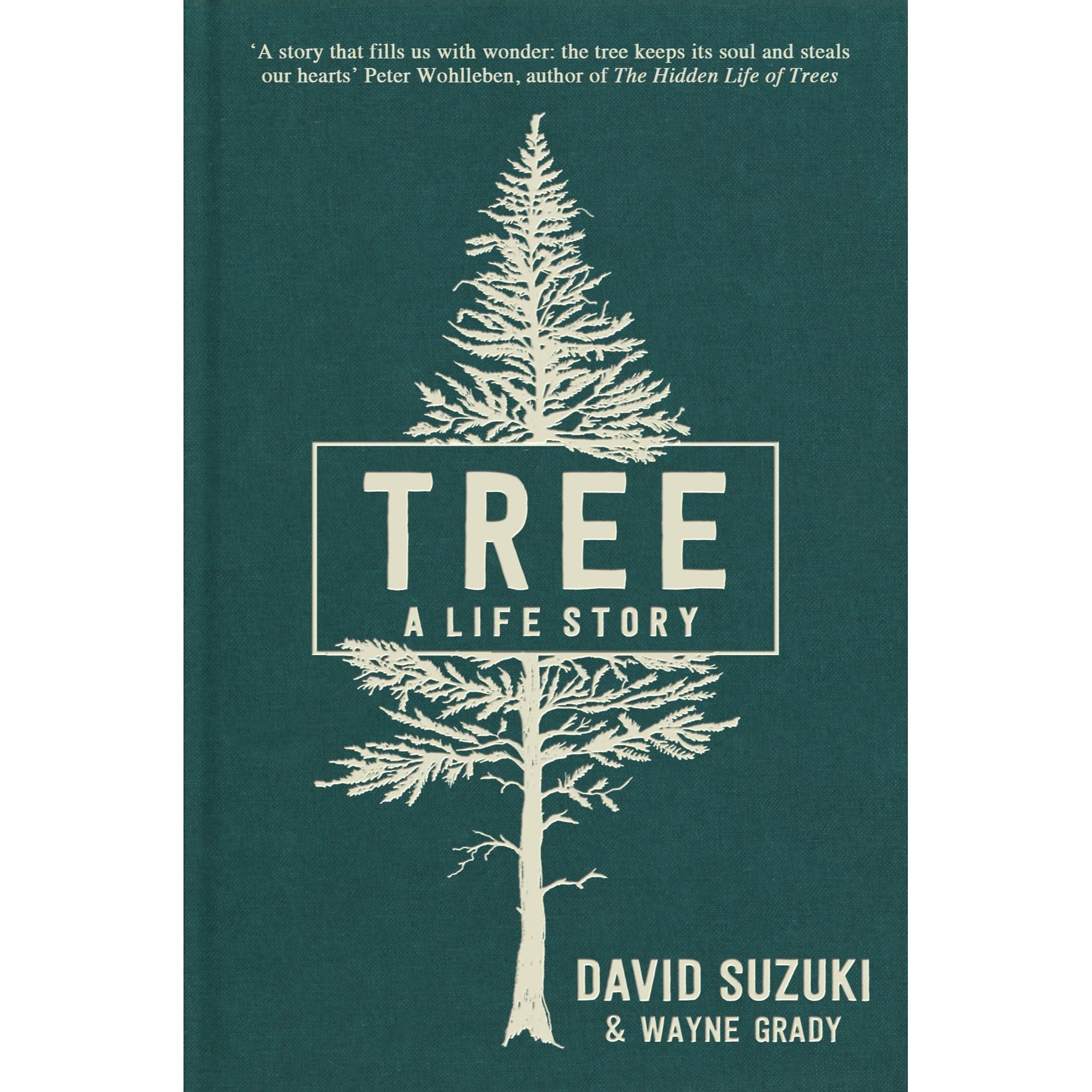 Tree A life story EnglishBookHouse